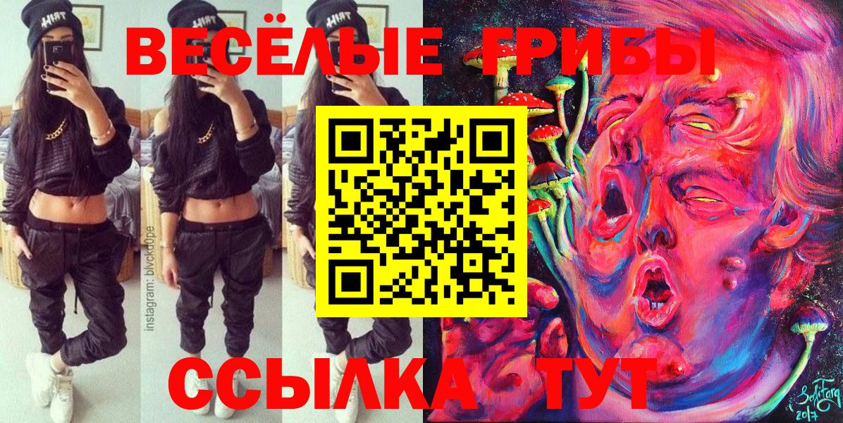 Кировск  Галлюциногенные грибы GOLDEN TEACHER  Вход с VPN  Галлюциногенные грибы Magic Shrooms 